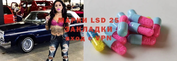 гашик Аркадак