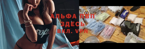 молекула духа Балахна