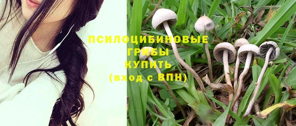 трава Балабаново