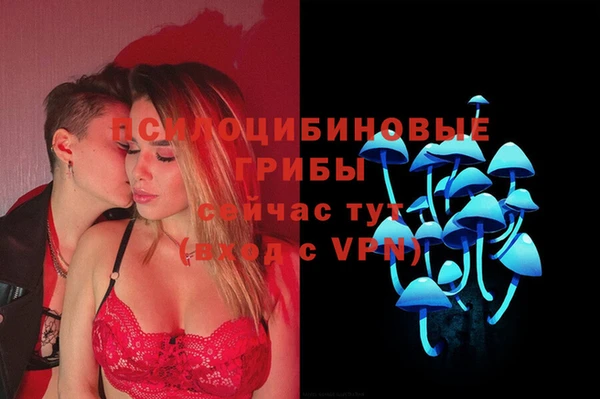 прущая мука Арсеньев