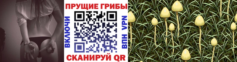 Галлюциногенные грибы GOLDEN TEACHER  нарко площадка наркотические препараты  Ершов 
