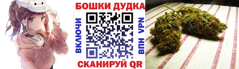 Бошки Шишки сатива Ершов